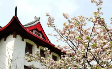 川大培训心得体会模板5篇