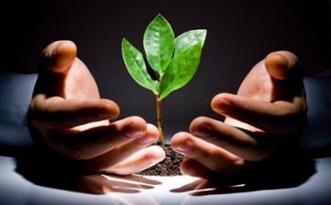 创业贷调查报告8篇
