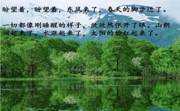 春节促销活动方案范文7篇