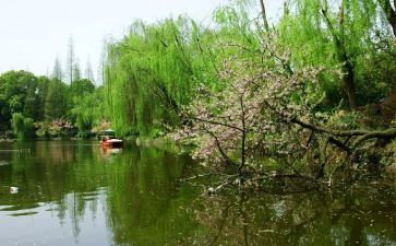 教师春季开学演讲稿7篇