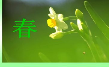 写春节的作文范文模板5篇