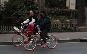 低碳出行作文6篇
