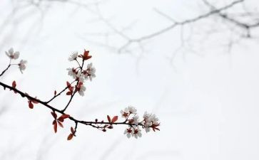 《匆匆》的读后感通用6篇