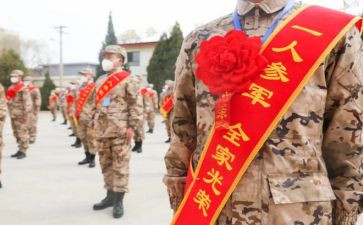 15从军征教案7篇