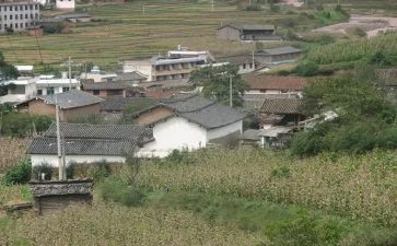 2023村医自查报告推荐6篇