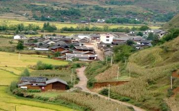 村会计助理述职报告6篇