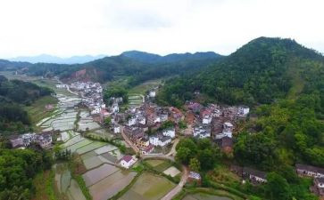 村副职述职报告2023通用6篇