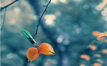 遇到挫折的作文6篇