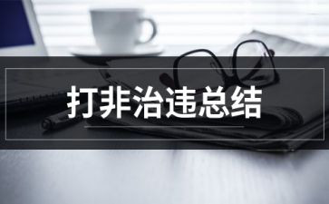 打非治违专项行动工作总结8篇