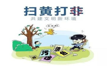 扫黄打非专项行动工作总结8篇