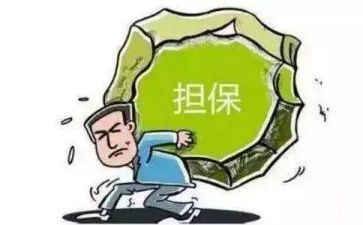 省担保公司工作总结7篇
