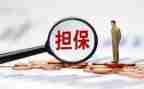 反担保合同模板6篇