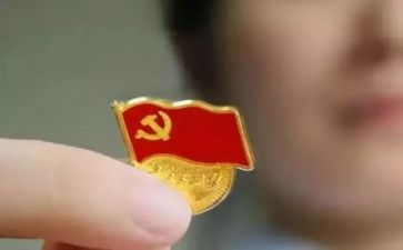 党费收缴自查报告2023推荐6篇