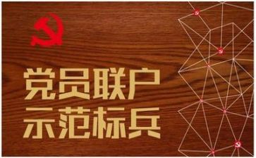 党日活动开展情况总结报告7篇