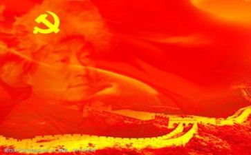 党年度个人总结报告优秀6篇