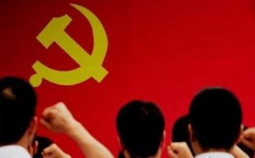 2023年党支部述职参考6篇