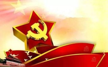 党通总结报告8篇