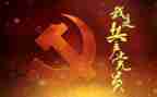 党自查报告5篇