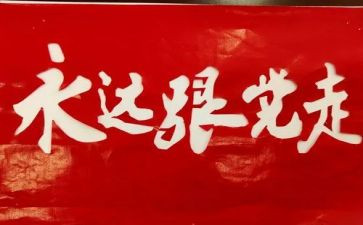 开展党史工作总结7篇