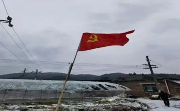 学生党员转正申请书7篇