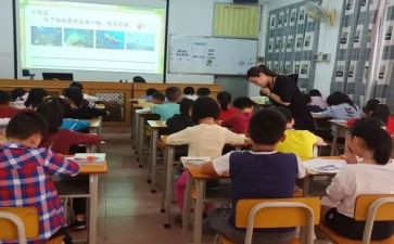 职业指导课心得体会优质5篇