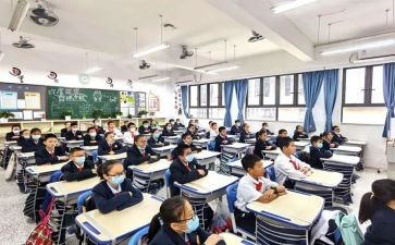 大学生指导课心得体会通用8篇