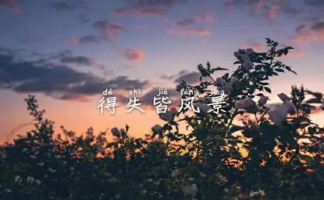 考试的得与失演讲稿优秀5篇
