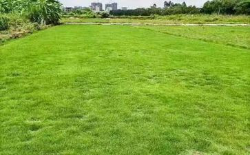 地产销售经理的述职报告精选6篇