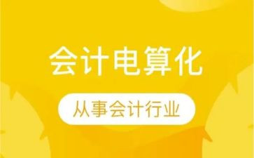 会计电算化实习报告优质5篇