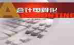 电算化会计实习报告模板5篇