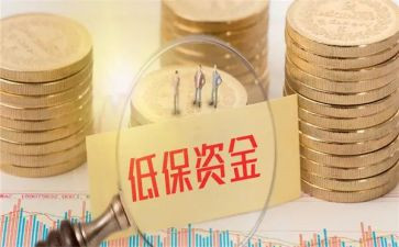 低保科个人总结参考5篇
