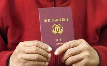 2022年低保自查报告6篇