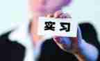 实习顶岗总结报告模板5篇