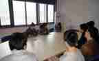 毕业实习顶岗总结报告5篇