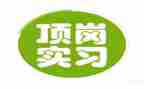 文员顶岗实习报告范文7篇