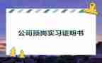 学生顶岗实习报告1000字8篇