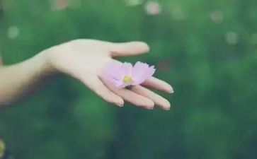 《我懂得了…》作文5篇