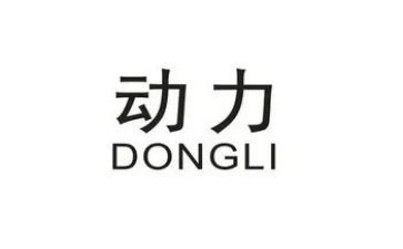 动力培训总结5篇