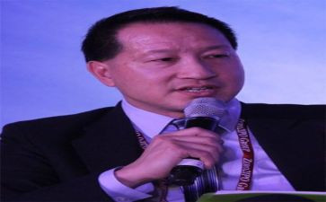 公司董事述职报告5篇