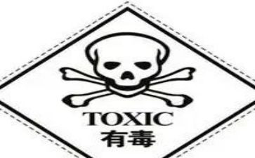 2024病毒作文6篇
