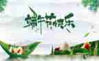 端午节幼儿活动教案5篇