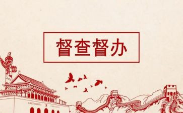 督查科半年工作总结7篇