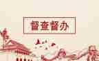 督查科半年工作总结7篇