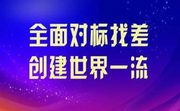 个人政治对标心得体会8篇