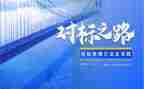 对标述职个人报告5篇