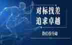 对标检查自查报告7篇