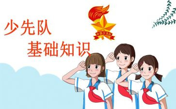 队课观后感7篇