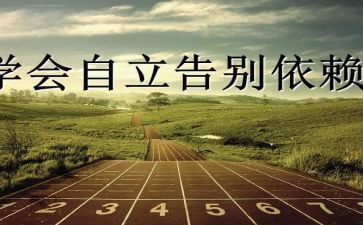公司独立董事做的述职报告7篇