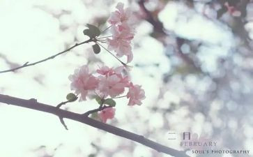 幼儿园二月工作总结参考6篇