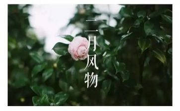 幼儿园二月份工作计划7篇